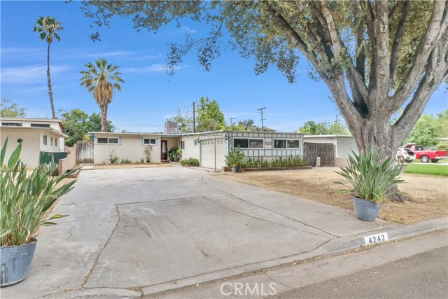 4242 Eileen — photo