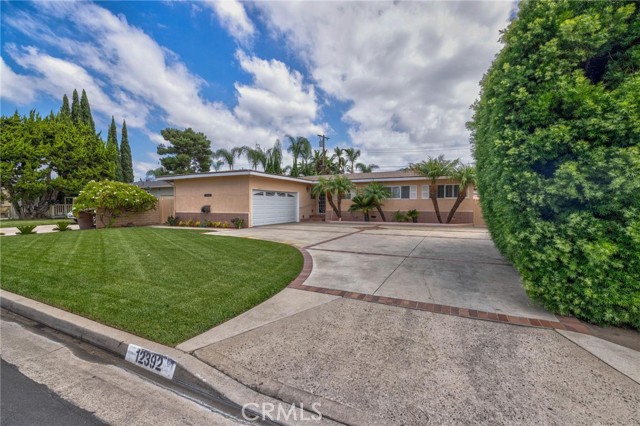 12392 Morrie — photo