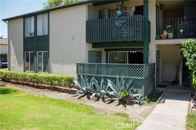 23266 Orange 1 — photo