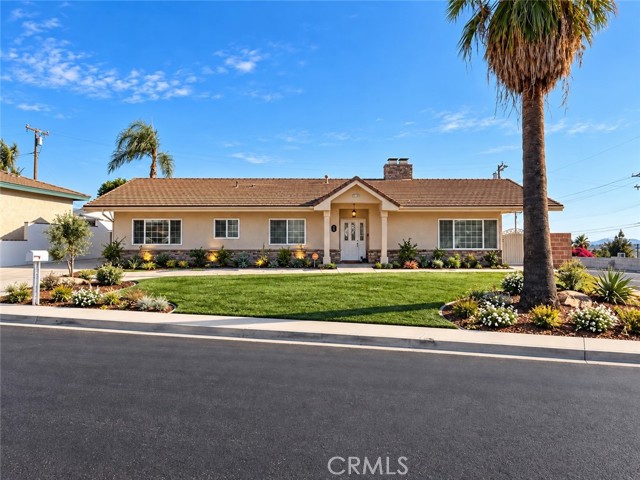 25701 Alto — photo