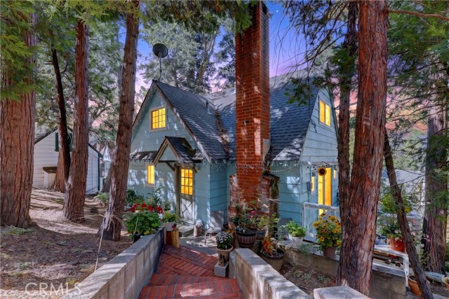 208 Heliotrope — photo