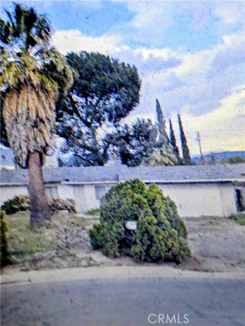 7739 Shasta — photo