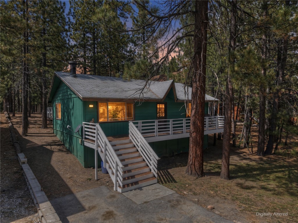 448 Quail — photo