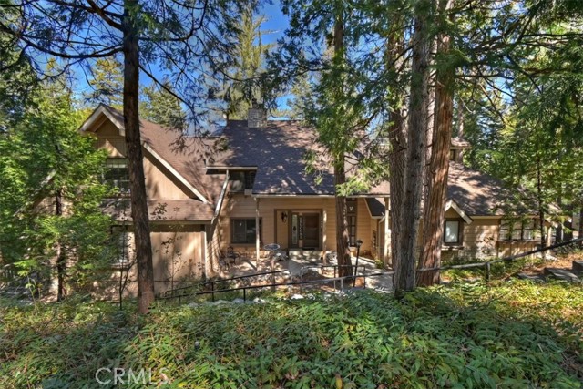 27456 White Fir — photo