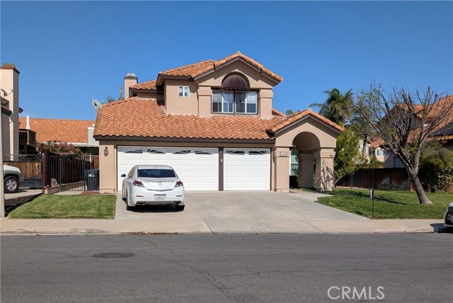 24054 Bearskin — photo