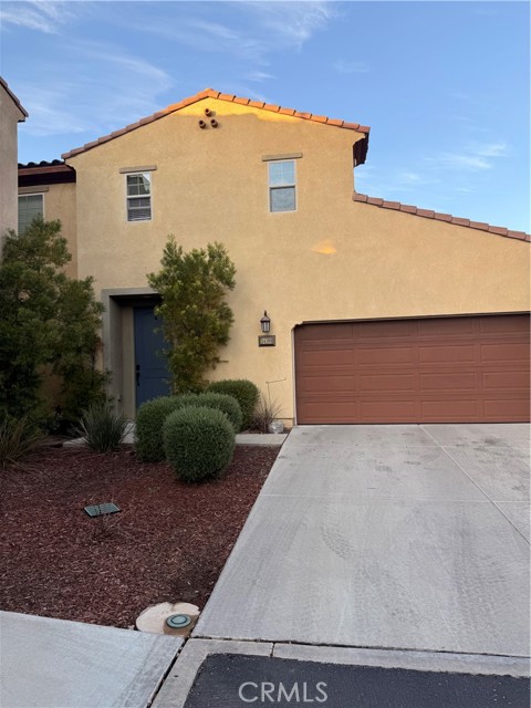 24109 Darmera — photo