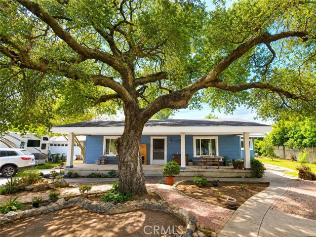 3155 Willard — photo