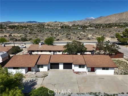49537 Rosella B — photo