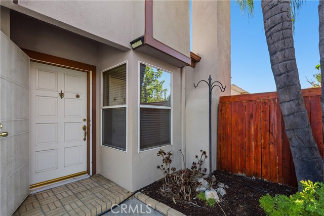 28098 Lemonwood — photo