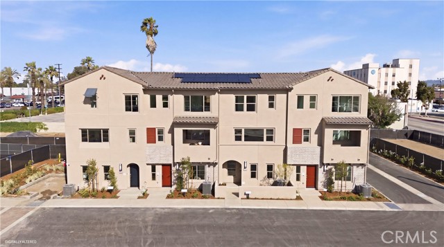 10720 Golden Koi B — photo