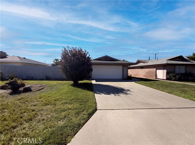 41219 Tava — photo