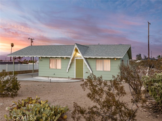 7393 Saladin — photo