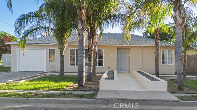890 Barney — photo
