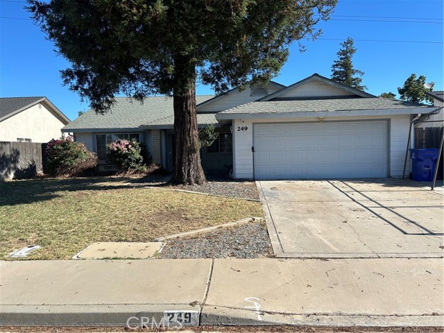 249 Live Oak — photo