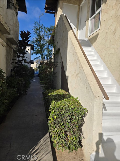 4233 Hilaria — photo