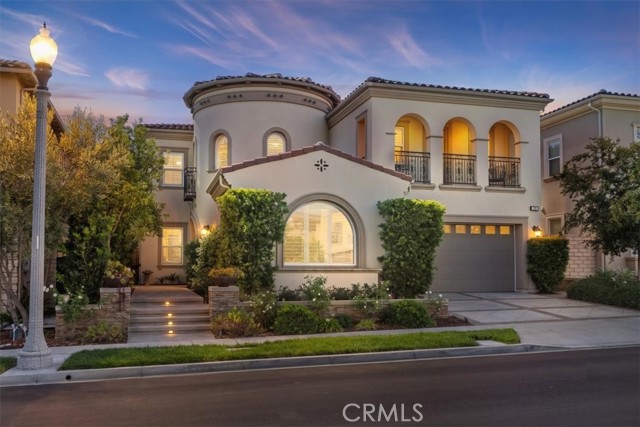 32 Hyacinth — photo