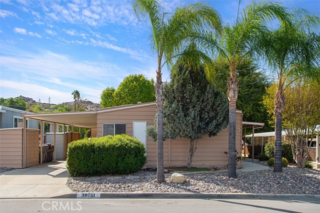 30751 Paradise Palm — photo