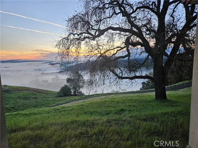 1115 Cypress Mountain Dr — photo