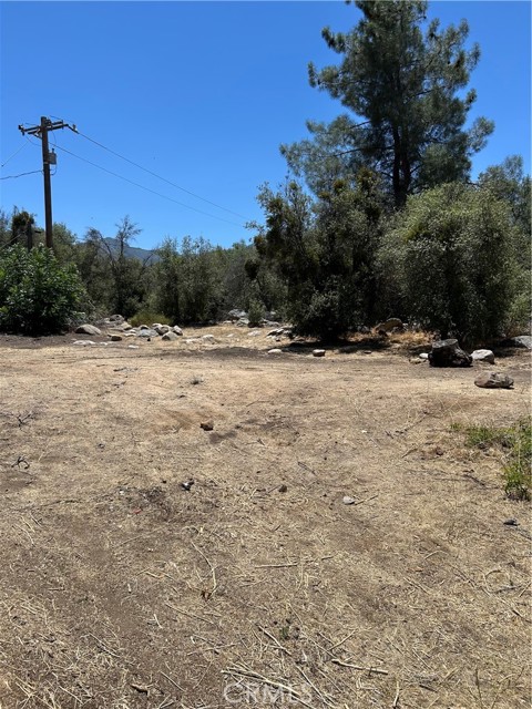 248 Bodfish Canyon — photo
