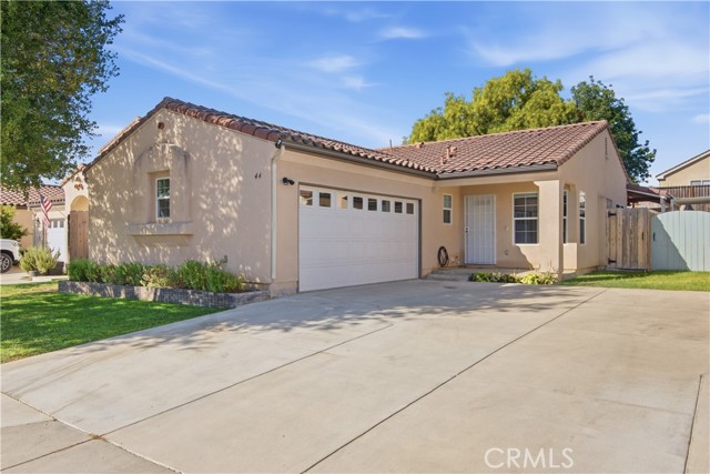 44 Gray Pine — photo