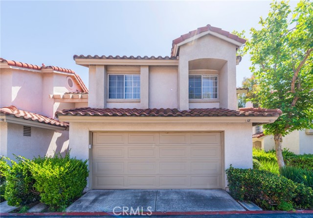 38 Carnation — photo
