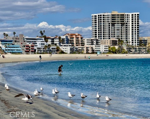 1310 E Ocean 405 — photo