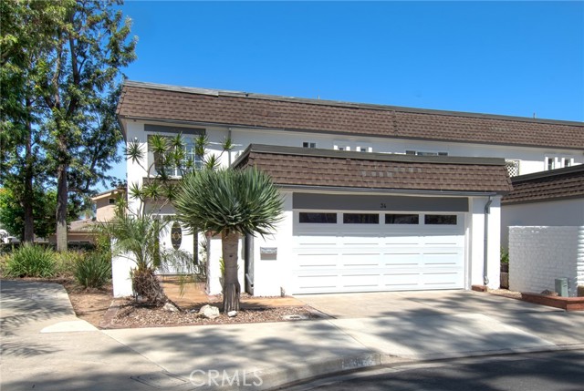 34 Senisa — photo