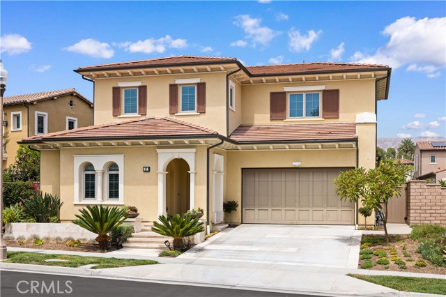57 Lowland — photo