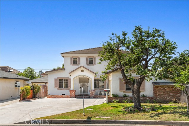 744 Callita — photo