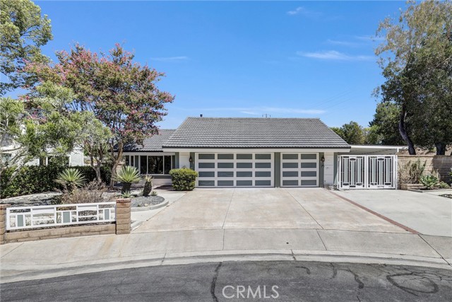 25495 Morningstar — photo