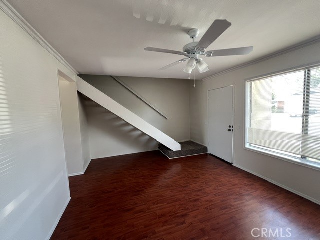 31 Meadowgrass — photo