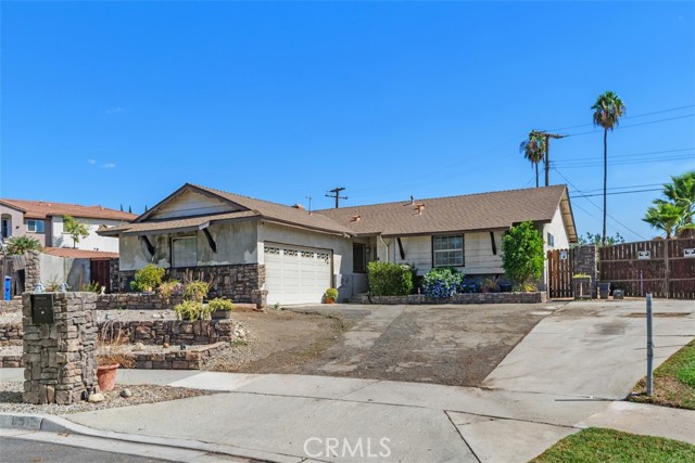 8512 Verbena — photo