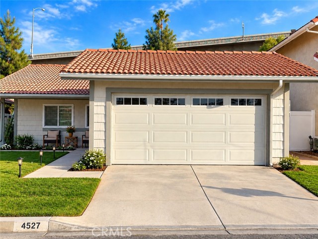 4527 Pennyroyal — photo