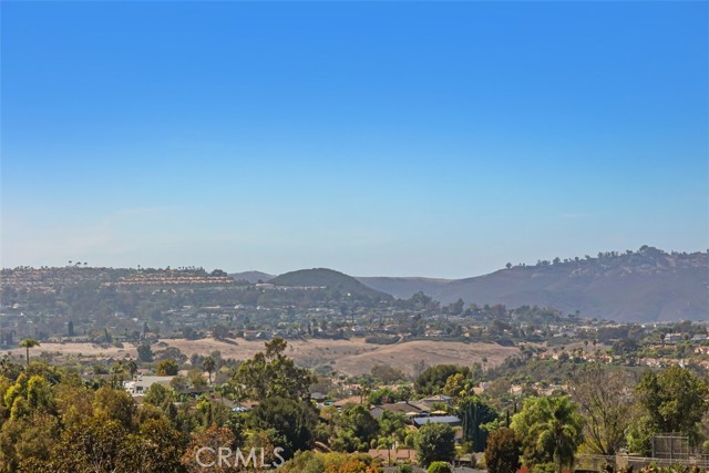 29091 Via Cerrito 43 — photo