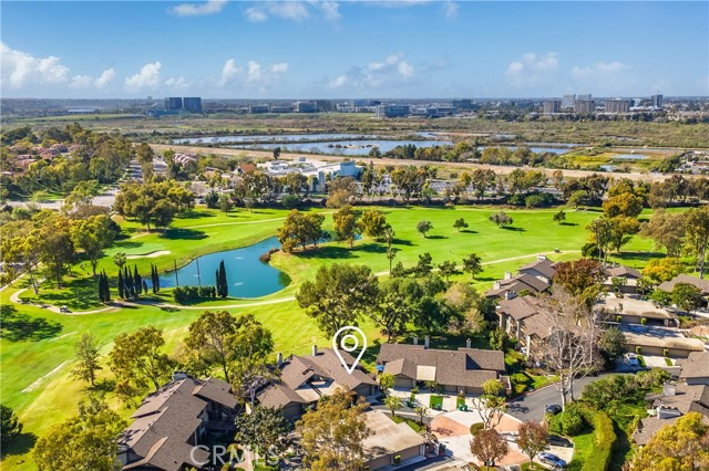 30 Arboles 34 — photo