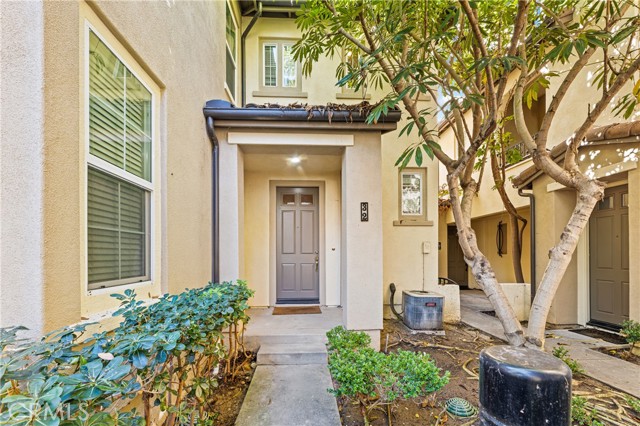 32 Perennial — photo