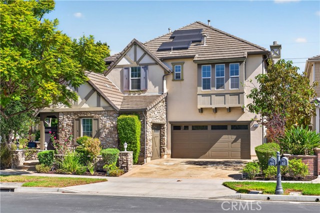 54 Desert Willow — photo