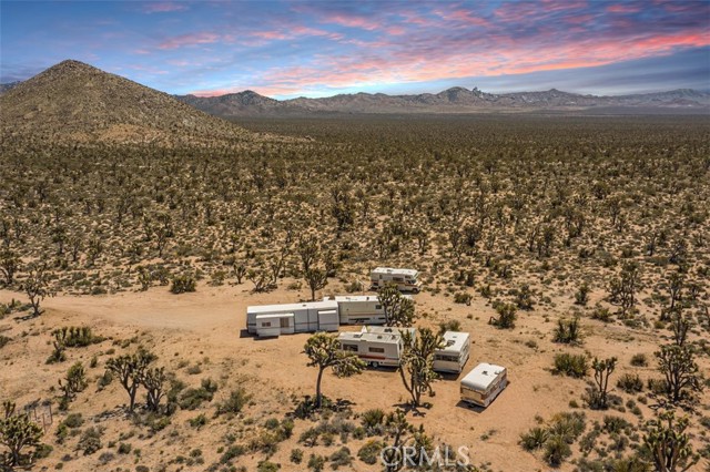 98202 Old Cima Ranch Rd, Cima, CA 92323