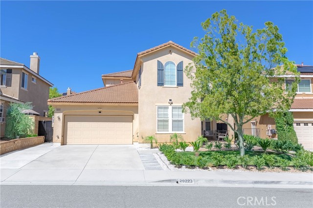 29223 Bernardo — photo