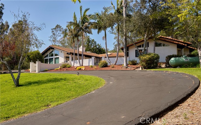 875 Golden Hawk — photo