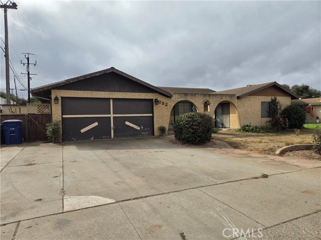 252 Sharry — photo
