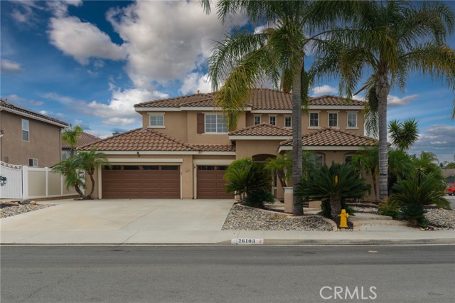 26103 Palmetto — photo