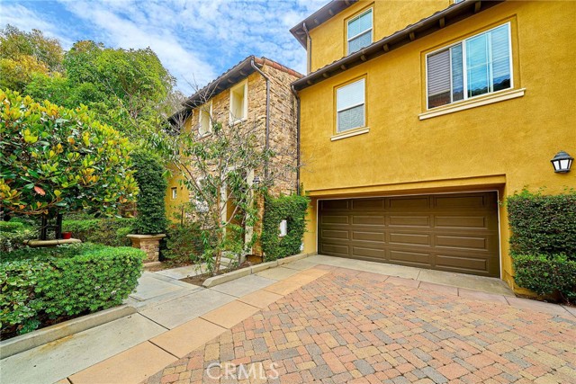 31 Gingerwood — photo