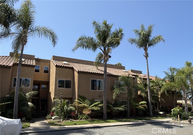 306 Coral Reef 50 — photo