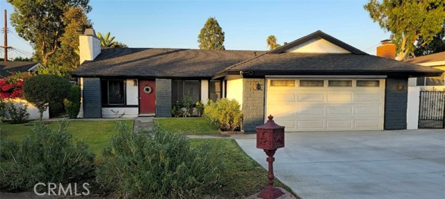 10135 Gunn — photo