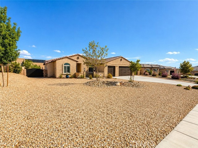19409 Javelina — photo