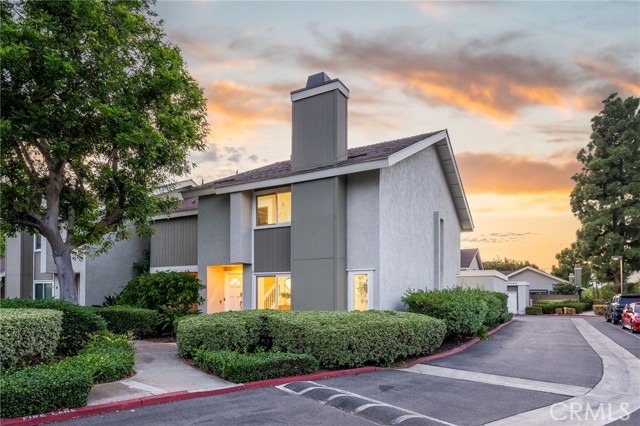 10 Goldenbush — photo