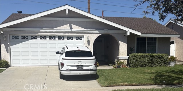 12129 Yearling — photo