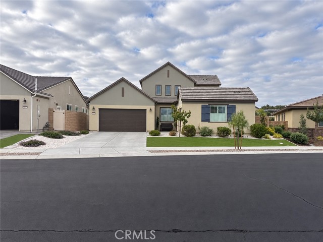 32229 Olea — photo