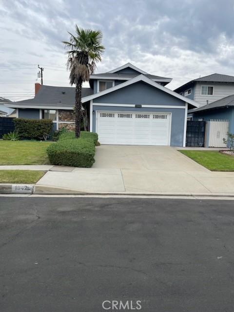19426 Belshaw — photo